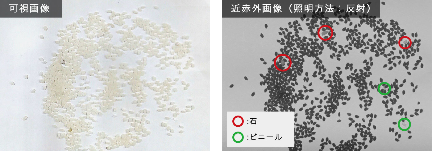米の混入比較画像